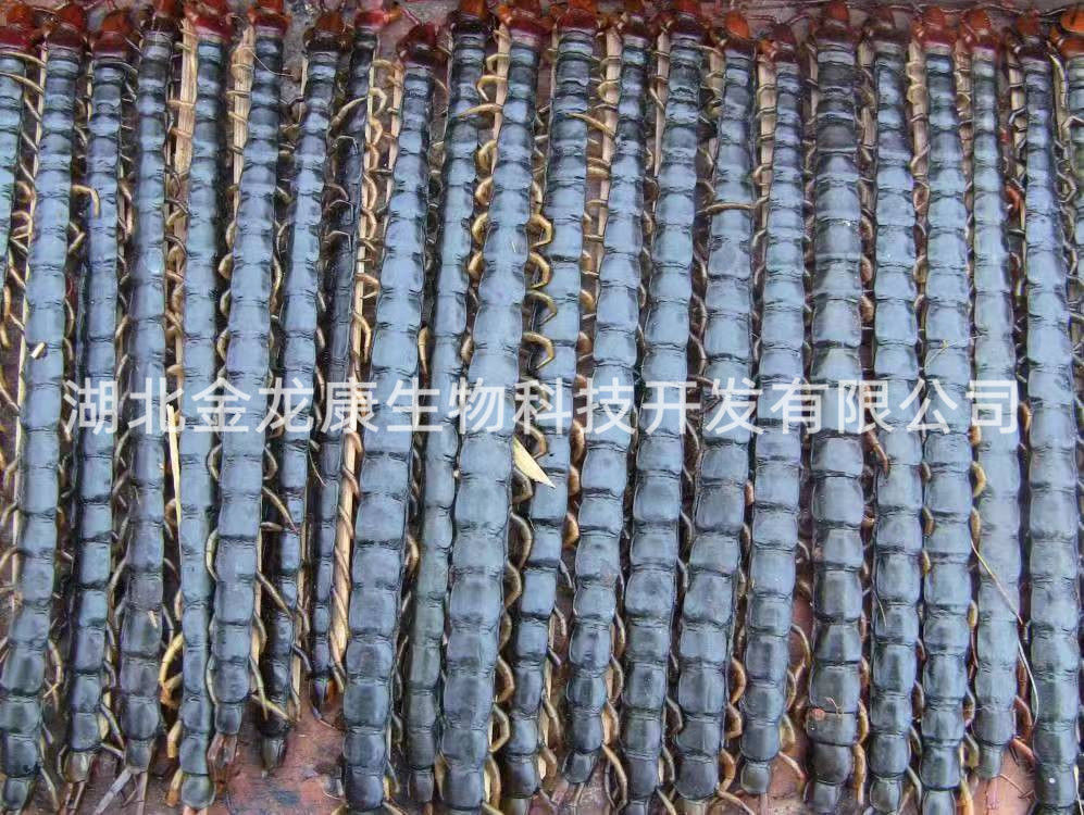 蜈蚣怎么加工呢？品質(zhì)有什么要求？